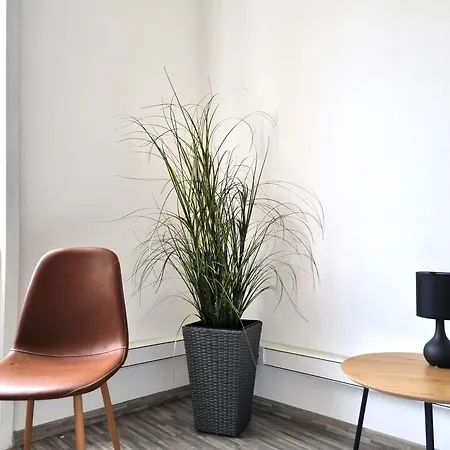 H1 Al Corso Витербо