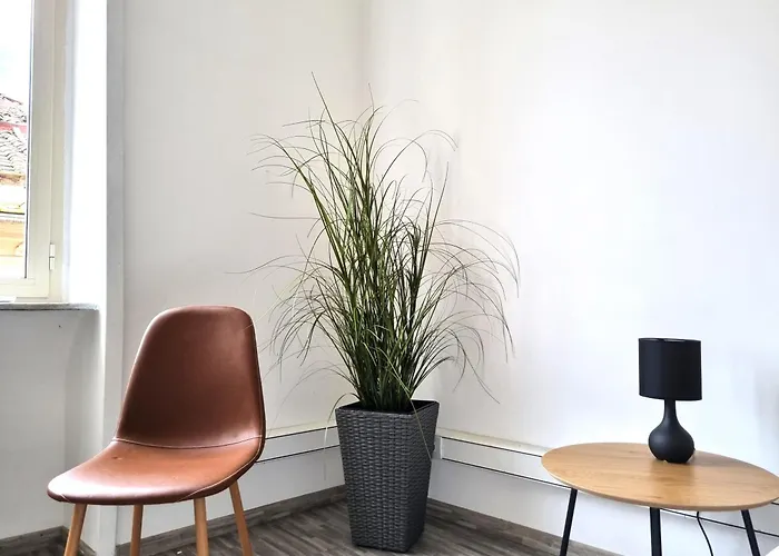 H1 Al Corso 维泰博